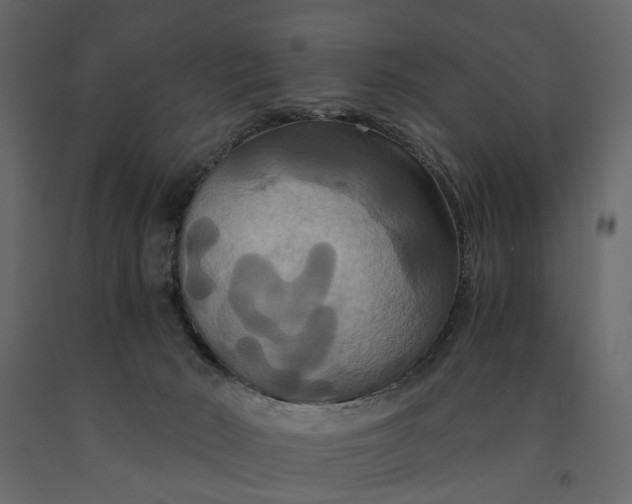 X0000091080030200708271245