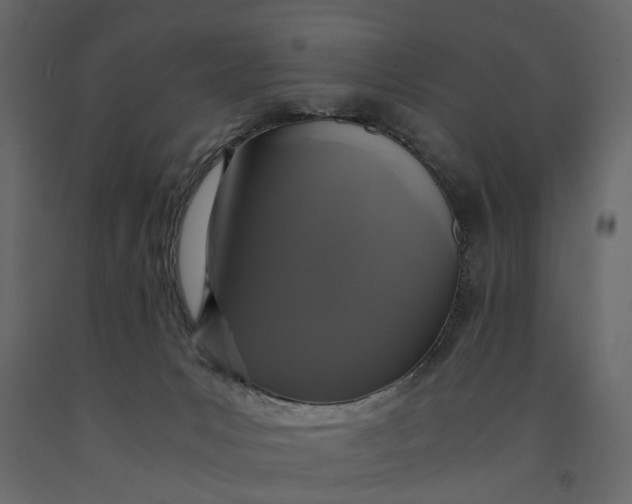 X0000091080031200708271245