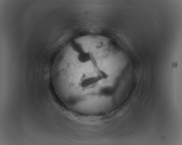 X0000091080032200708271245