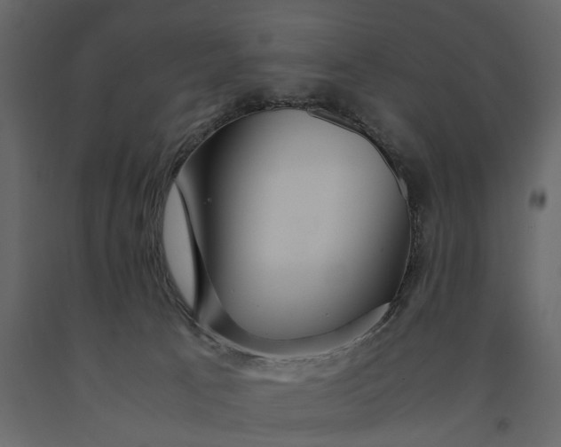 X0000091080033200708271245