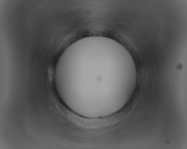 X0000091080038200708271245