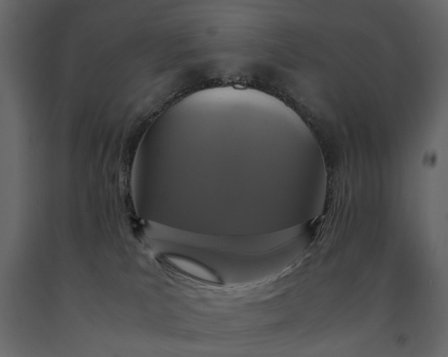 X0000091080039200708271245