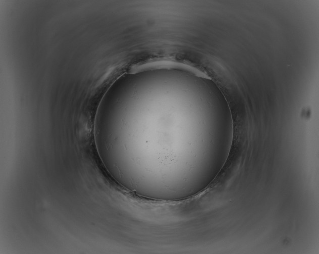 X0000091080040200708271245