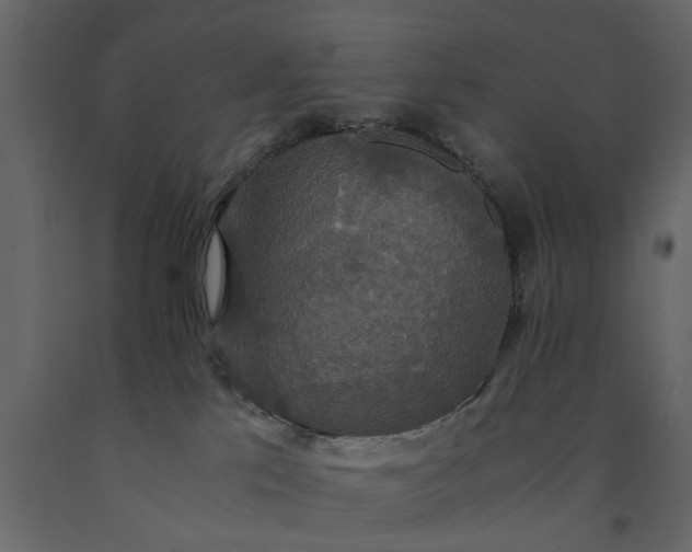 X0000091080041200708271245