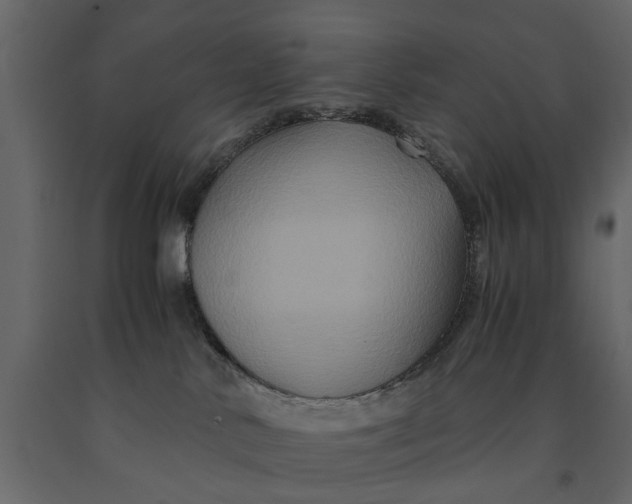 X0000091080042200708271245