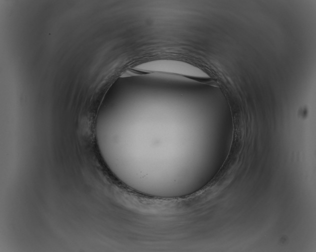 X0000091080044200708271245