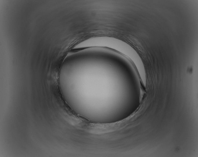 X0000091080045200708271245