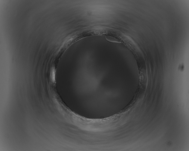 X0000091080046200708271245