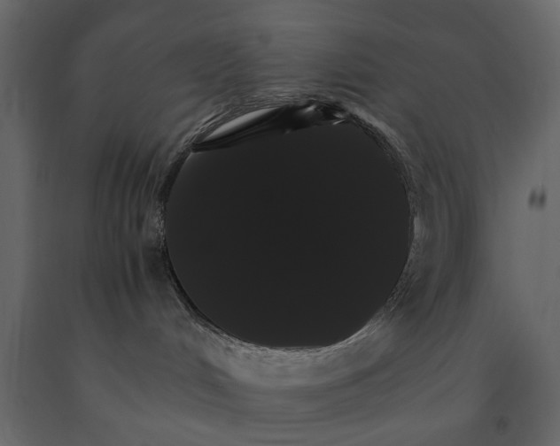 X0000091080048200708271245