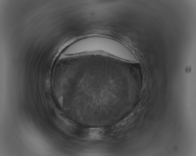 X0000091080050200708271244