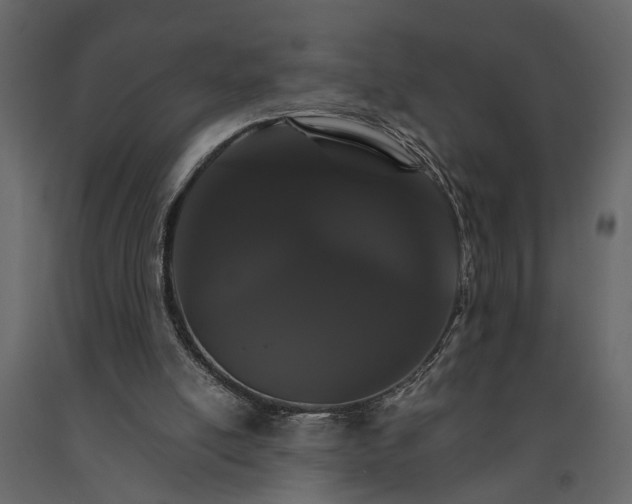 X0000091080054200708271244