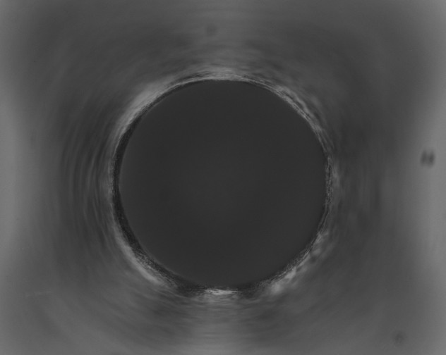 X0000091080055200708271244