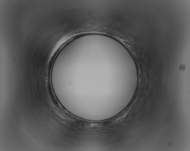 X0000091080056200708271244