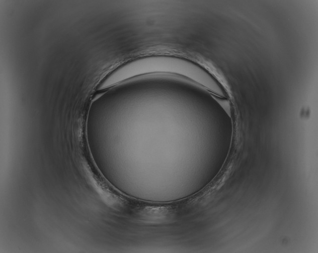 X0000091080057200708271244