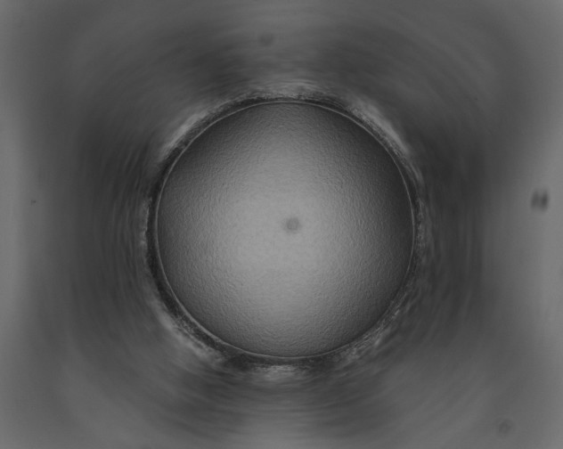 X0000091080058200708271244