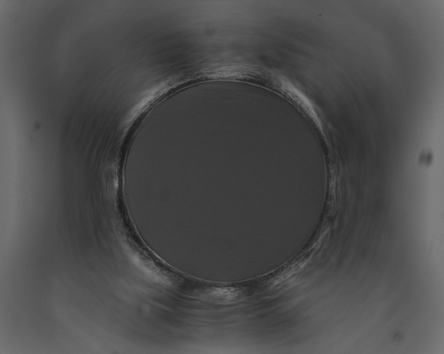 X0000091080059200708271244