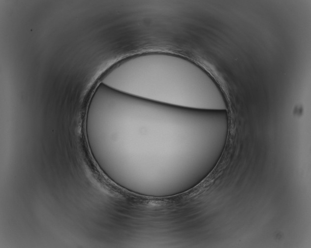 X0000091080060200708271244