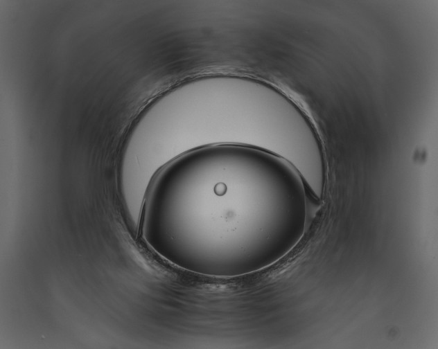 X0000091080061200708271244