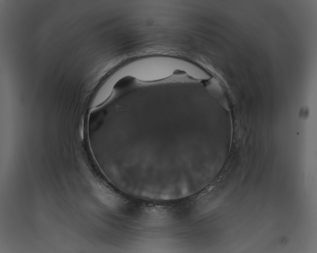 X0000091080062200708271244