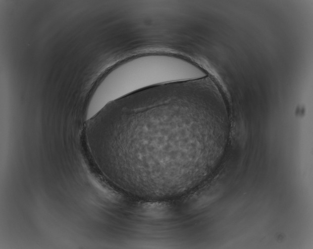 X0000091080063200708271244