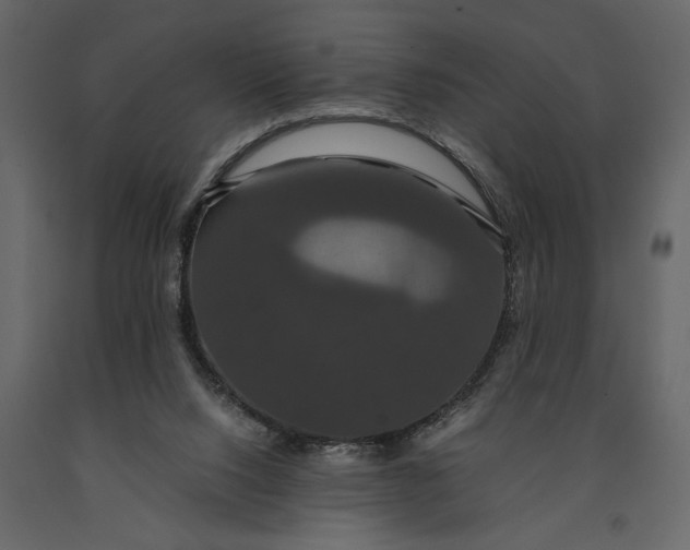 X0000091080064200708271244