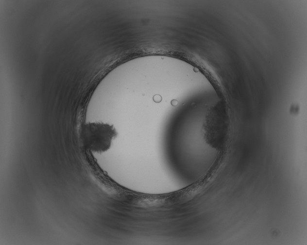 X0000091080065200708271244