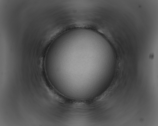 X0000091080066200708271244