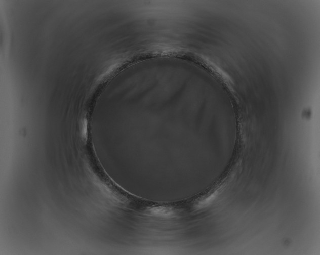 X0000091080067200708271244