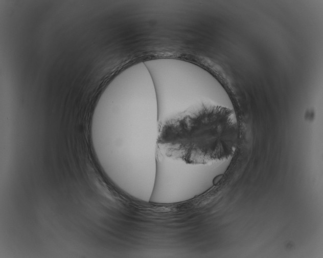 X0000091080069200708271244