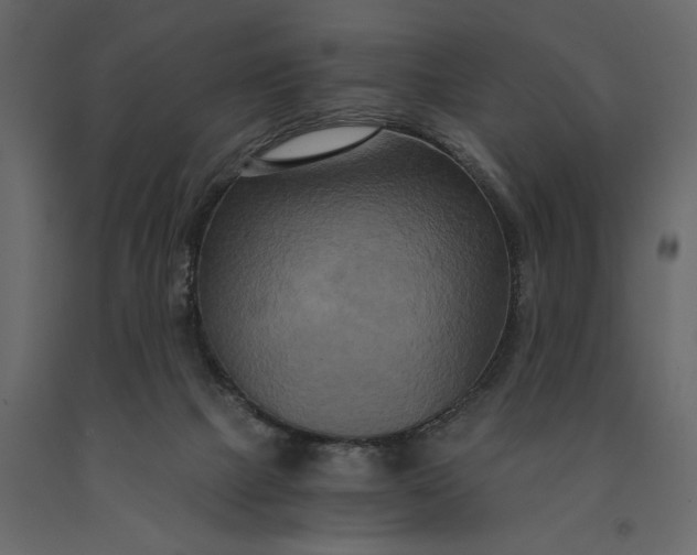 X0000091080073200708271244