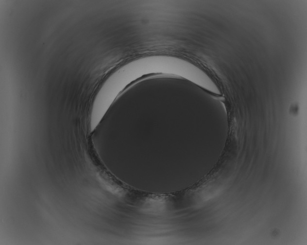 X0000091080076200708271244