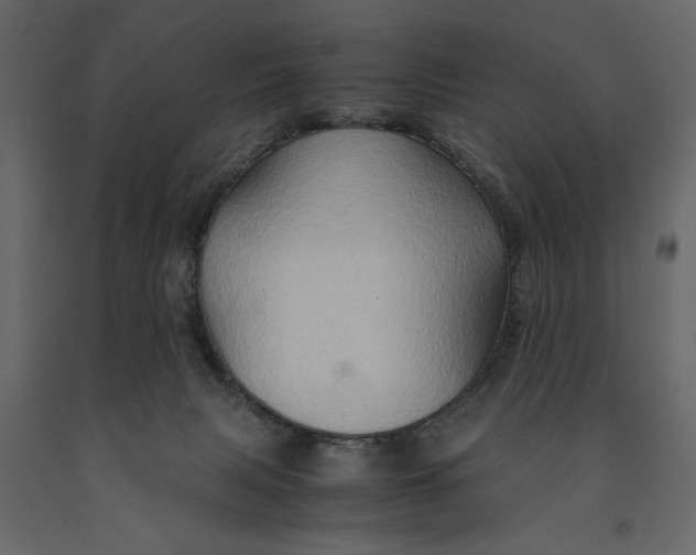 X0000091080079200708271244