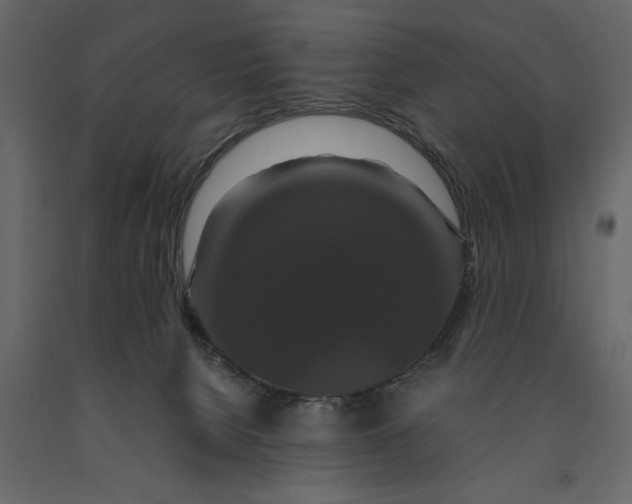 X0000091080080200708271244