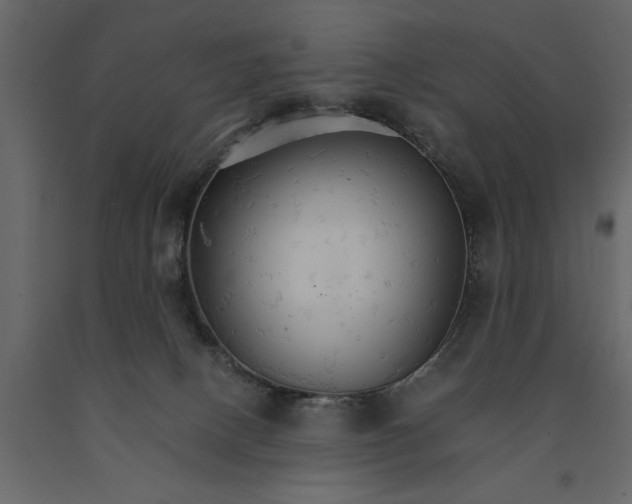 X0000091080082200708271244