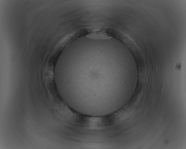 X0000091080085200708271244