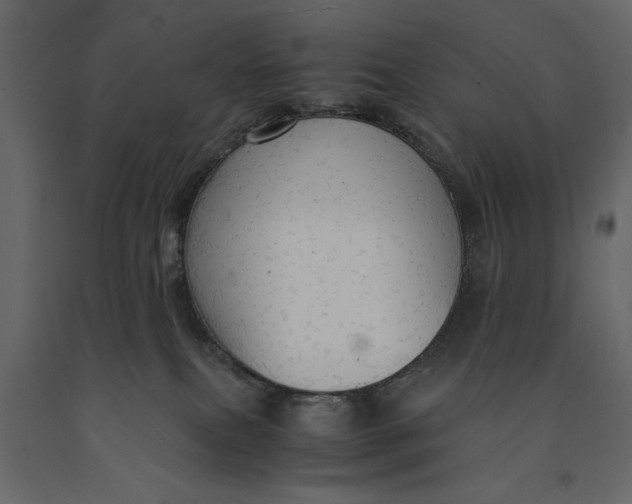 X0000091080087200708271244