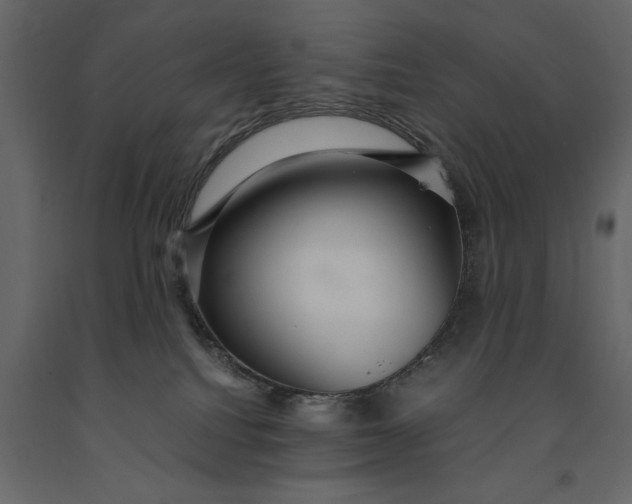 X0000091080088200708271244