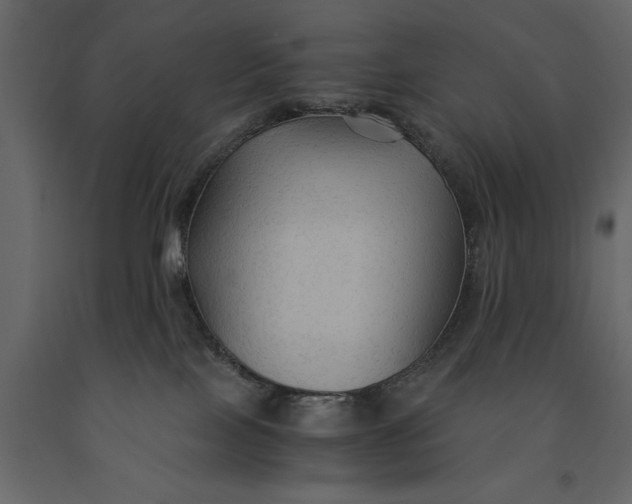 X0000091080089200708271244