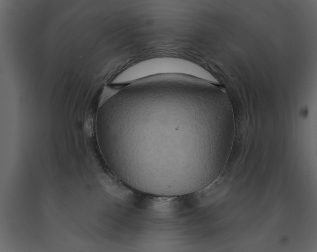 X0000091080090200708271244