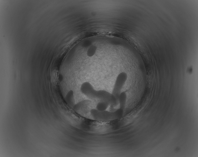 X0000091080093200708271244