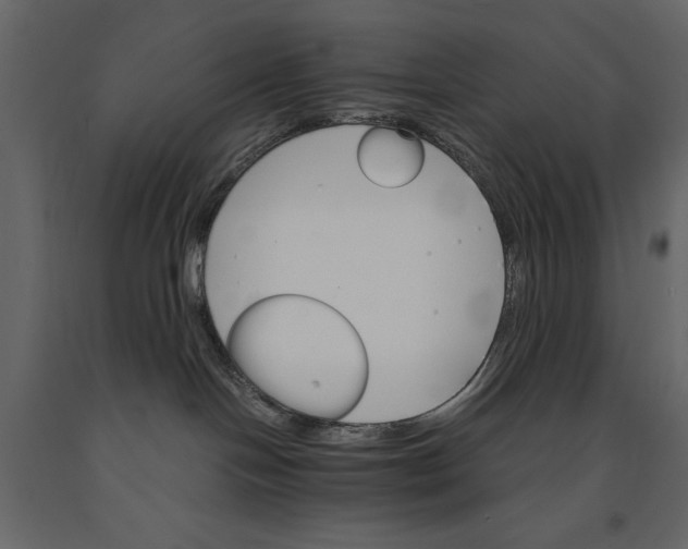 X0000091080094200708271245