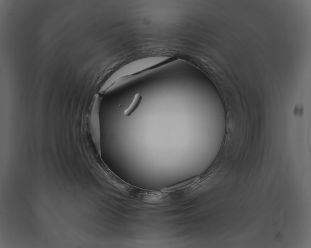 X0000091080096200708271245