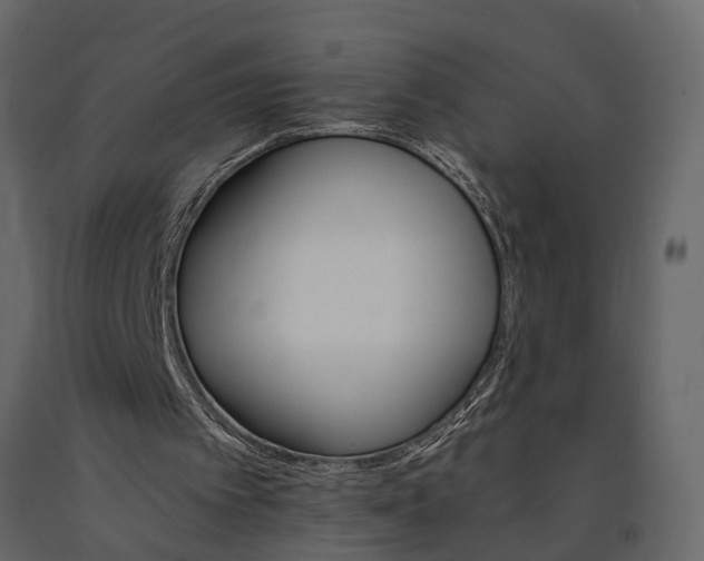 X0000091080097200708271244