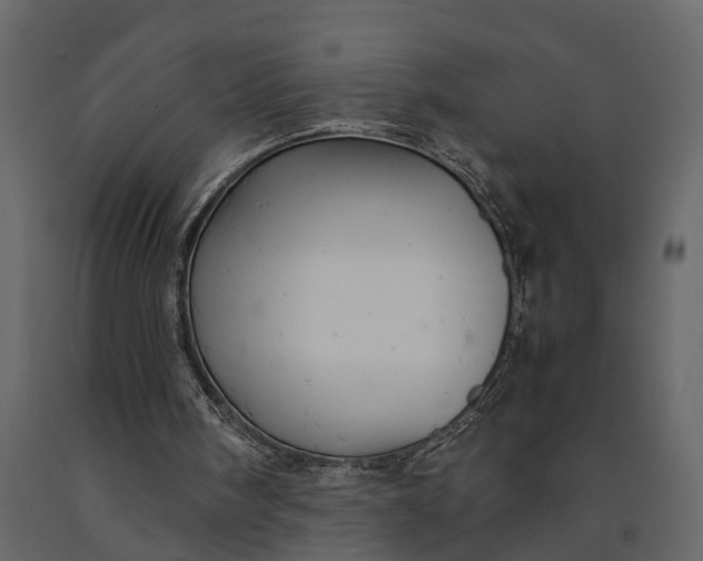 X0000091080098200708271244