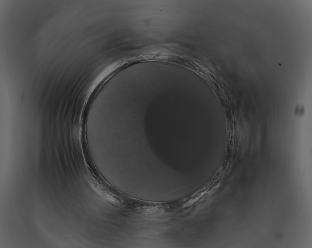 X0000091080100200708271244