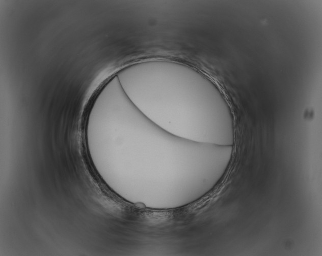 X0000091080102200708271244