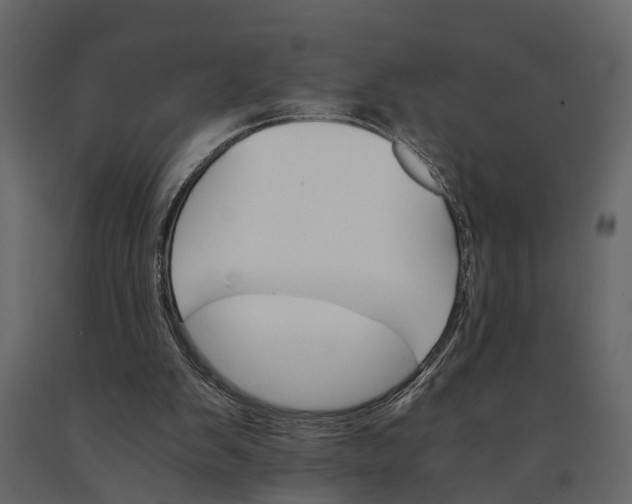 X0000091080103200708271244