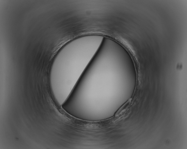 X0000091080105200708271244