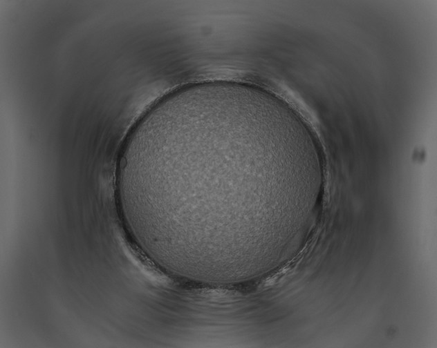 X0000091080107200708271244