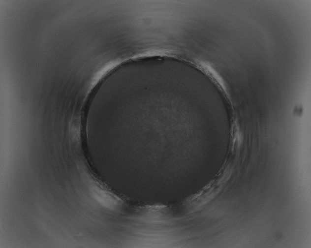 X0000091080108200708271244